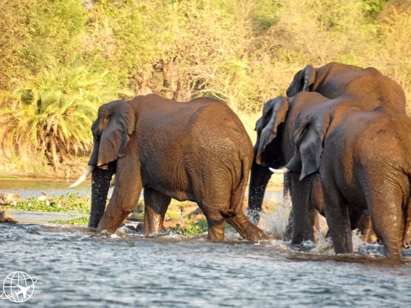 Rafting the Rapids of the Zambezi River Rafting the Rapids of the Zambezi River