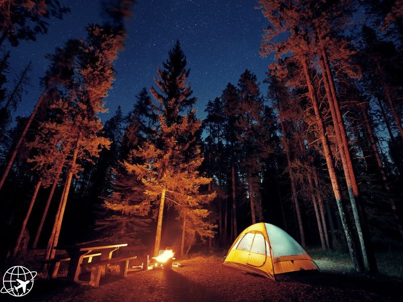 Destinations with Epic Night Skies: Where to See the Best Stars and Meteor Showers