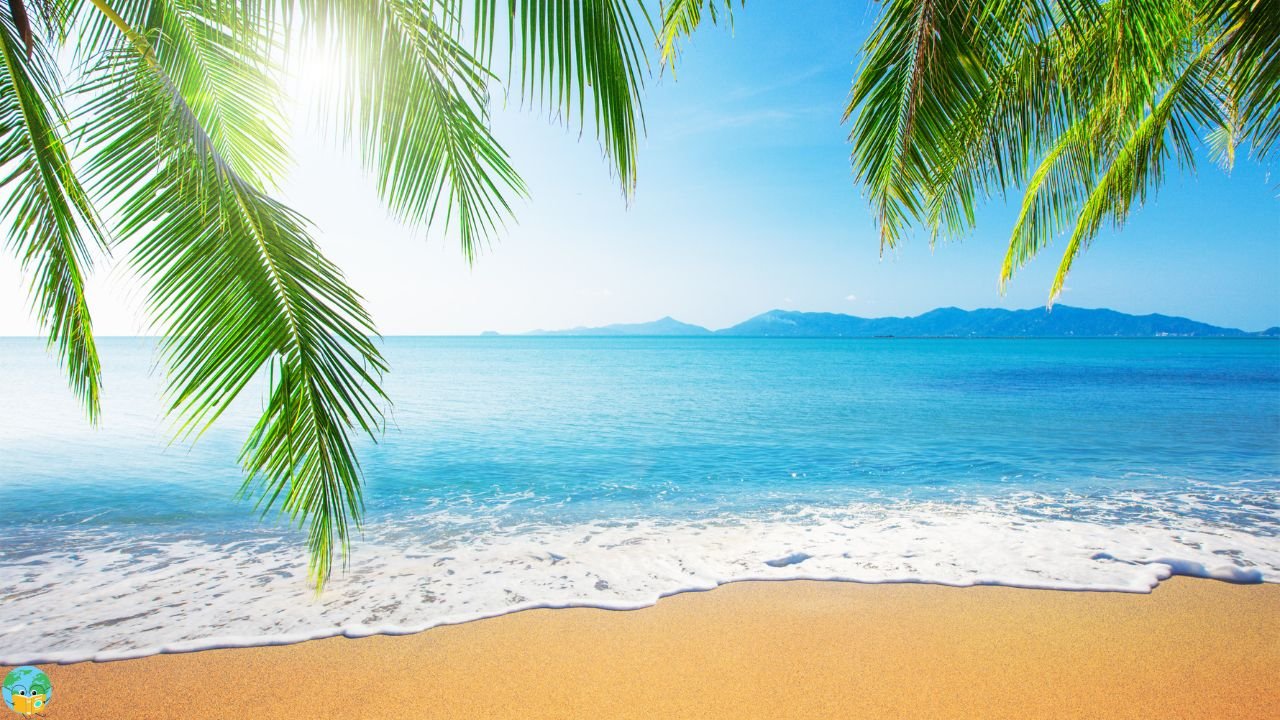 Master Travel & Money for Everyday Freedom